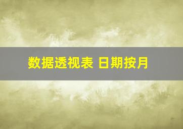 数据透视表 日期按月